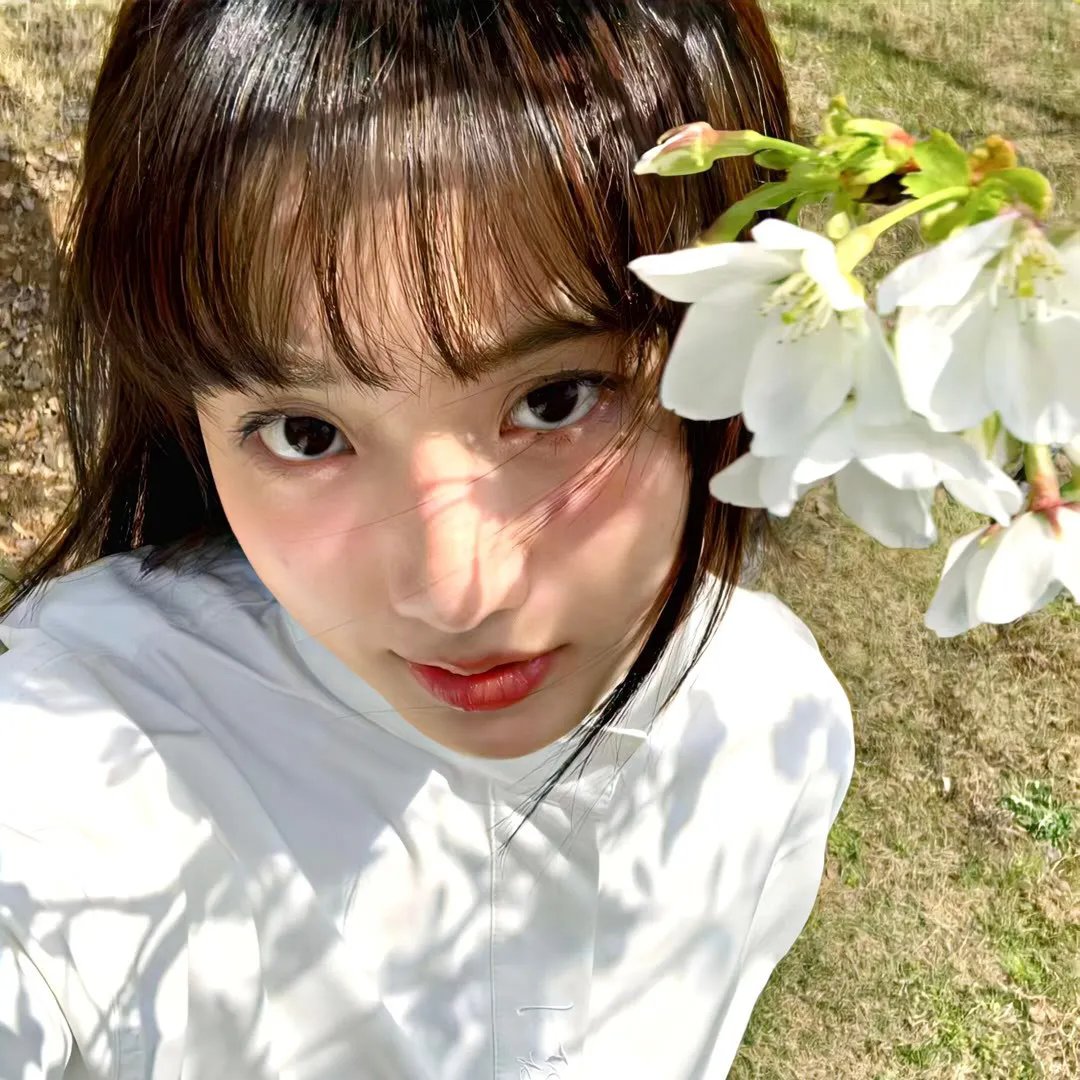 顿悟之白骨美人心